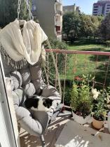 Aranżacja: Fotel wiszący ogrodowy Foldo Creme