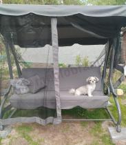 Aranżacja: Huśtawka ogrodowa Solla Max z moskitierą - Grey