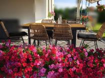 Aranżacja: Komplet mebli obiadowych do ogrodu 6 + 1 Urbino Dining - Natural