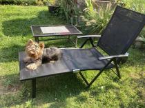 Aranżacja: Leżak ogrodowy aluminiowy składany Kubu - Black