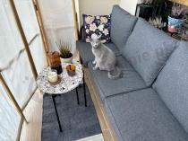 Aranżacja: Nowoczesna sofa na taras trzyosobowa 182cm rope style - Dark Grey Postigo