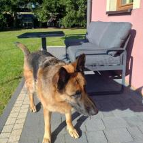 Aranżacja: Nowoczesna sofa ogrodowa dla 3 osób 175cm Panaon 2024 - Dark Grey