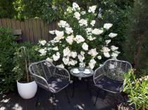 Aranżacja: Nowoczesne meble balkonowe z technorattanu Torgiano Balcony Grey