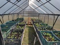 Aranżacja: Poliwęglanowa szklarnia ogrodowa 250x490cm z aluminium - czarny