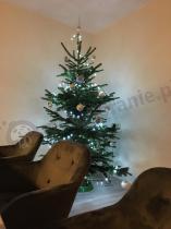 Aranżacja: Skandynawskie krzesło do salonu Enkel ciemnoszare/drewno