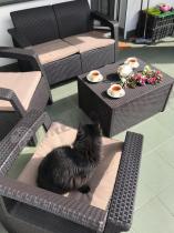 Aranżacja: Sofa ogrodowa Corfu Love Seat - brązowa kanapa ogrodowa