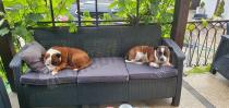 Aranżacja: Sofa ogrodowa Corfu Love Seat Max - grafitowa
