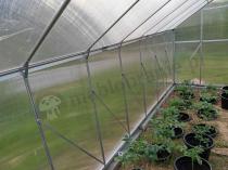 Aranżacja: Szklarnia aluminiowa z fundamentem poliwęglan 430x250cm