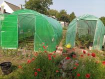 Aranżacja: Tunel foliowy 3x6 z metalowymi drzwiami - Rurki ⌀25mm, zielony 18m2