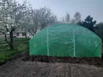 Aranżacja: Tunel foliowy 4x12m metalowy z drzwiami na zawiasach – zielony