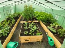 Aranżacja: Tunel foliowy 4x6 Jasmin obustronne wejście - metalowy, zielony 24m2