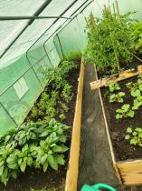 Aranżacja: Tunel foliowy 4x6 Jasmin obustronne wejście - metalowy, zielony 24m2