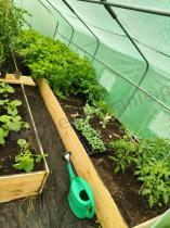 Aranżacja: Tunel foliowy 4x6 Jasmin obustronne wejście - metalowy, zielony 24m2