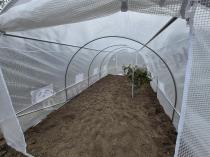 Aranżacja: Tunel foliowy konstrukcja metalowa 3x6m - podwójne drzwi biała siatka 18m2