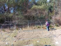 Aranżacja: Tunel foliowy metalowy 3x6m z podwójnymi drzwiami Jasmin zielony