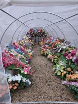 Aranżacja: Tunel foliowy metalowy 3x9m z podwójnymi drzwiami – biały