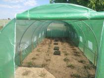 Aranżacja: Tunel foliowy metalowy 9x3m z podwójnymi drzwiami – zielony