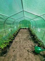 Aranżacja: Tunel foliowy z metalowym stelażem 3x6m z drzwiami na zawiasach - Jasmin – zielony