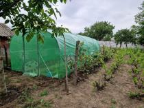 Aranżacja: Tunel foliowy z metalowym stelażem 3x6m z drzwiami na zawiasach - Jasmin – zielony