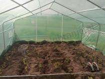 Aranżacja: Tunel foliowy z metalowym stelażem 4x6m z drzwiami na zawiasach - Jasmin – zielony