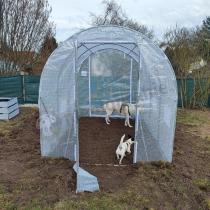 Aranżacja: Tunel foliowy z metalowym stelażem i drzwiami 2x3m – biały