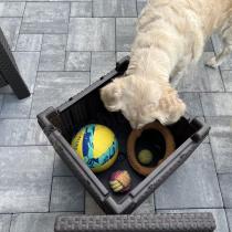 Aranżacja: Zestaw 2 puf ze schowkiem i poduszką Keter Cube brązowy