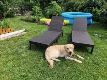 Aranżacja: Zestaw dwóch leżaków ogrodowych składanych Jaipur Sun Lounger brązowy