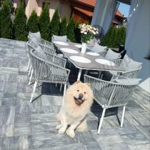 Aranżacja: Zestaw mebli ogrodowych - stół 210cm + 8 krzeseł - Kostto Dining 8+1 White