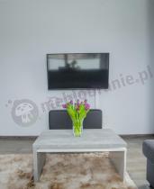 Betonowy stolik kawowy w nowoczesnym salonie