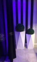 Designerskie białe donice w nowoczesnym pomieszzceniu