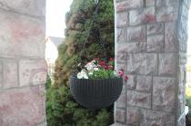 Doniczka wisząca na balkon ze stokrotkami Keter Hanging Sphere Planter