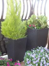 Doniczki ogrodowe z tworzywa sztucznego na rozkwieconym balkonie