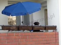 Granatowy parasol Sunline III 150 na balkonie