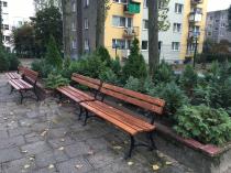 Ławki parkowe żeliwne przy rabatach między blokami