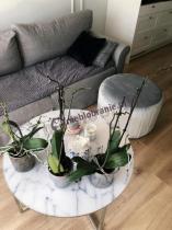 Marmurowy stolik w salonie z szarą kanapą