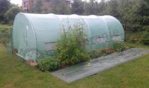Zielony tunel foliowy 6x3m szklarnia folia PE UV pow. 18m2