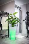 Donica Della podświetlana - 75cm - LED RGB z pilotem