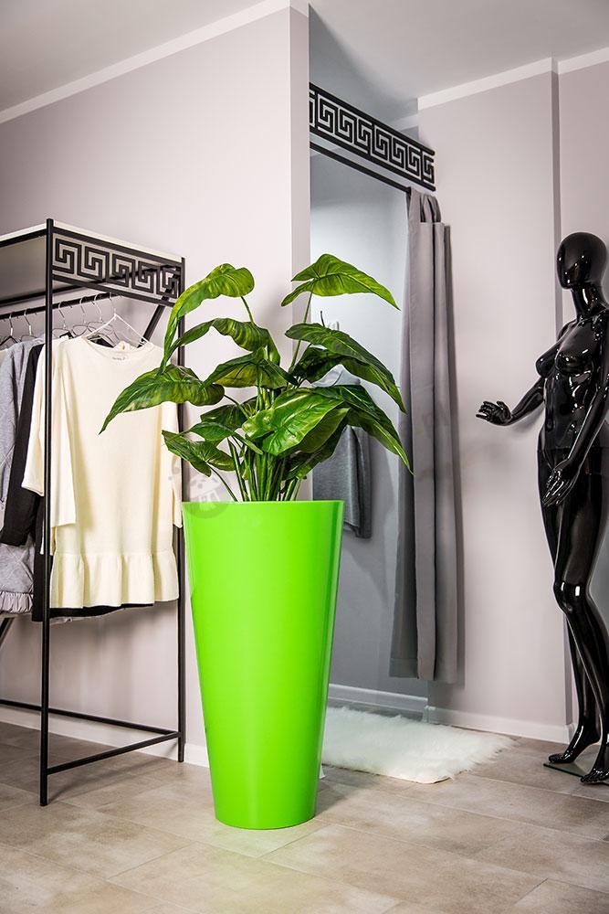 Donica Della soczysta limonka