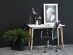 Aranżacja biurka Ravan Desk