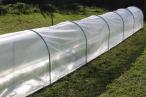 Mini foliak ogrodowy na warzywa 6,25x0,8m