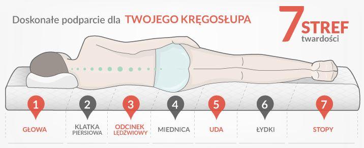 Materac Family strefy