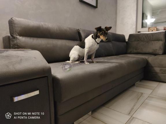 tapicerka narożnika pet friendly