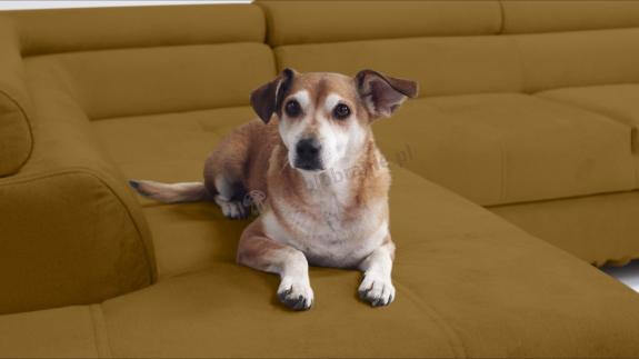 tkanina dla zwierząt