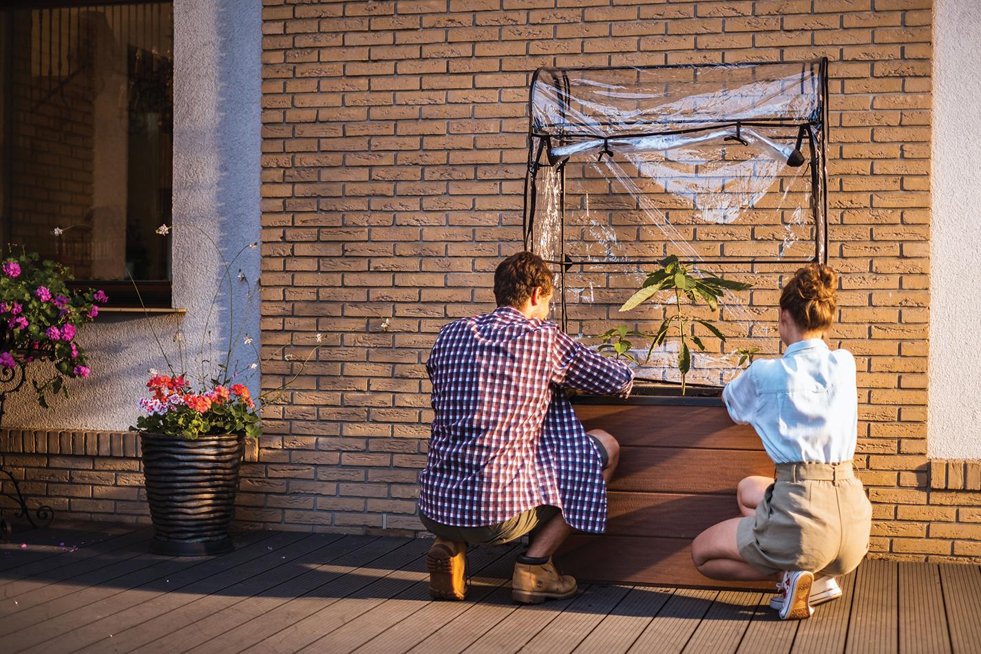 Szklarnia balkonowa Maple