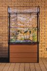 Maple grow house brown