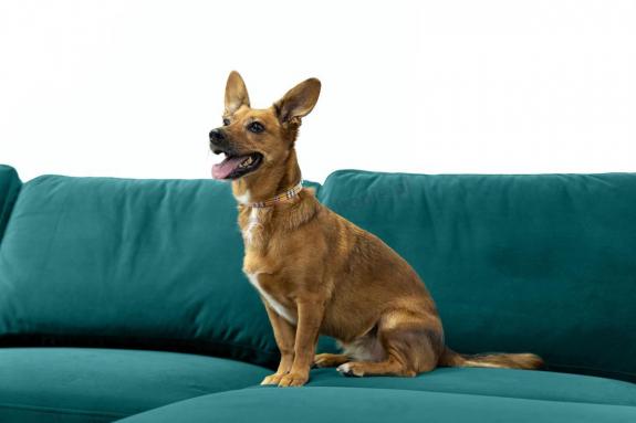 morska tapicerka narożnika