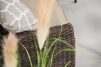 Zestaw mebli technorattanowych Perata Dining - Brown