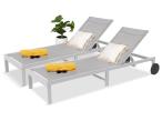 Zestaw szarych leżaków z kółkami na taras Ahelo - Silver 2 szt.