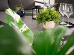 Modułowy duży narożnik ogrodowy z dwoma fotelami z regulacją Tavaro Corner XL Plus Antracite