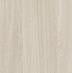 Jesion Werona - premium